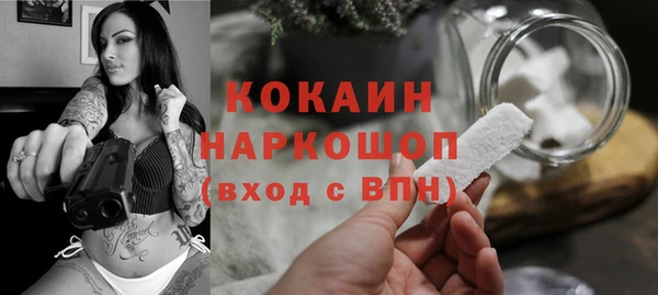 PSILOCYBIN Медвежьегорск