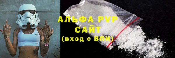 PSILOCYBIN Медвежьегорск