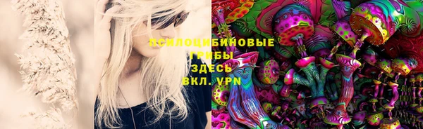 спайс Медногорск