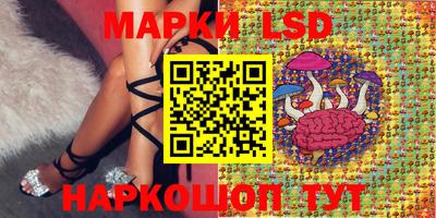 mdpv Гатчина