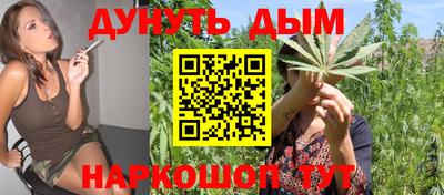 дурь Гай
