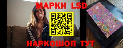 mdpv Гатчина